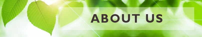 About Us : Sansar Green Technologies