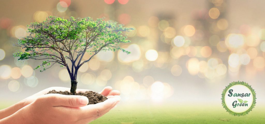 Plantation Projects