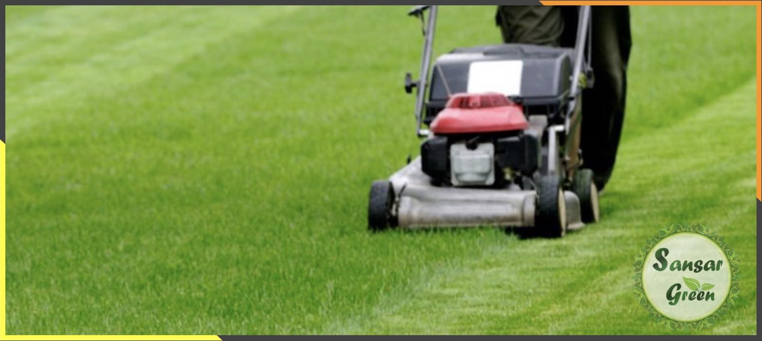 Garden Maintenance Services in India