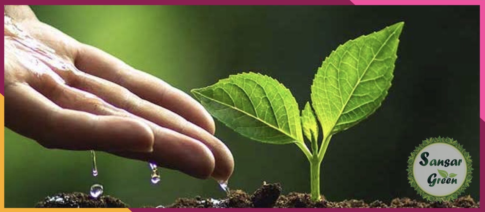 Corporate Plantation - Landscape Consultancy - designing - planning in India - sansar green