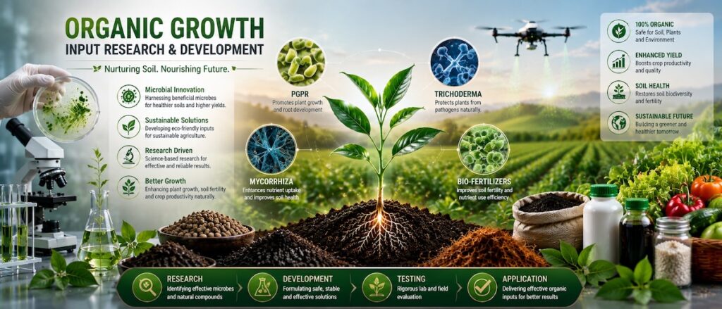 Rajeev Singh Organic Growth Input Research and Development infographic showcasing microbial innovation, biofertilizers, PGPR, Trichoderma, Mycorrhiza, sustainable agriculture, soil health improvement, plant growth enhancement, and organic farming research.