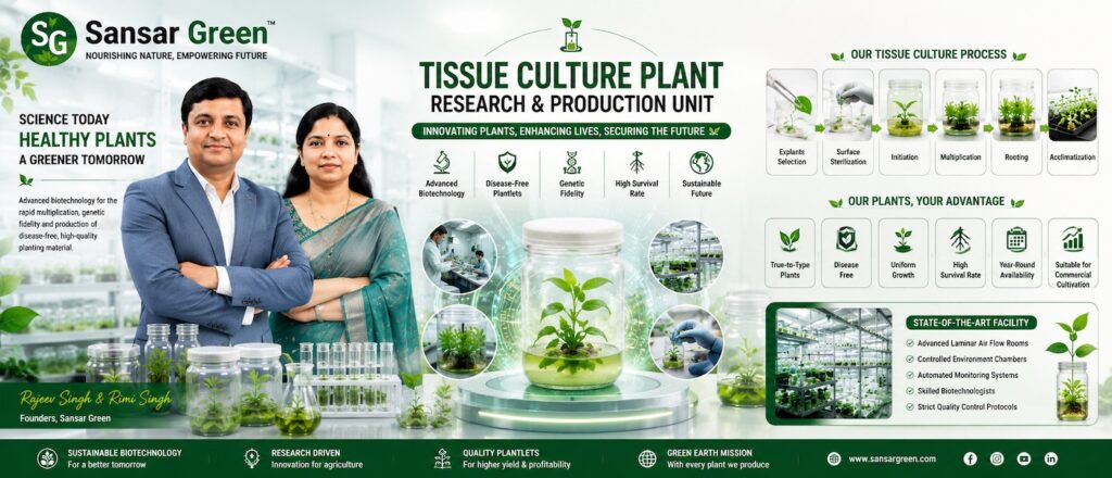 Rajeev Singh and Rimi Singh, Founders of Sansar Green, showcasing the Tissue Culture Plant Research & Production Unit with advanced biotechnology laboratories, micropropagation, disease-free plantlets, and sustainable plant production.